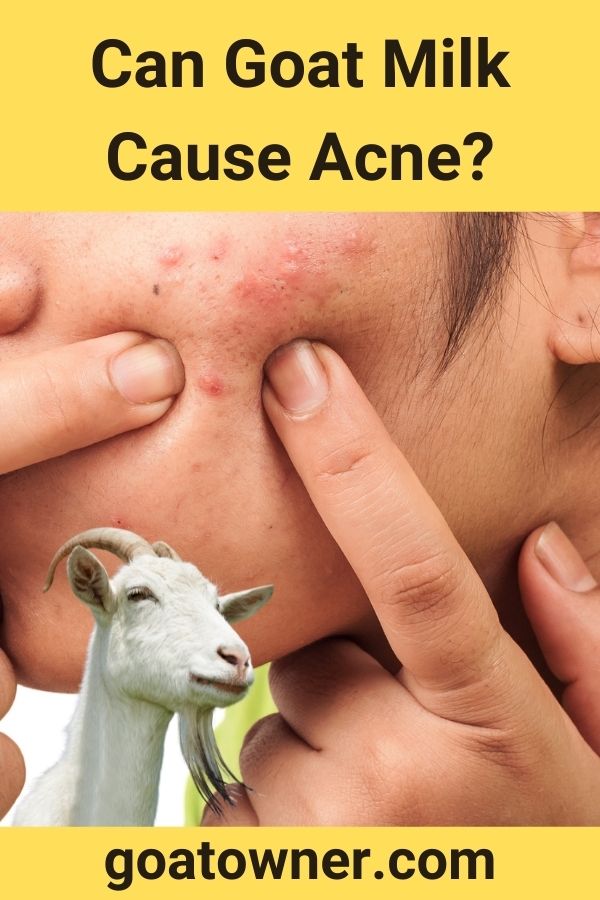 can-goat-milk-cause-acne-revealed-goat-owner