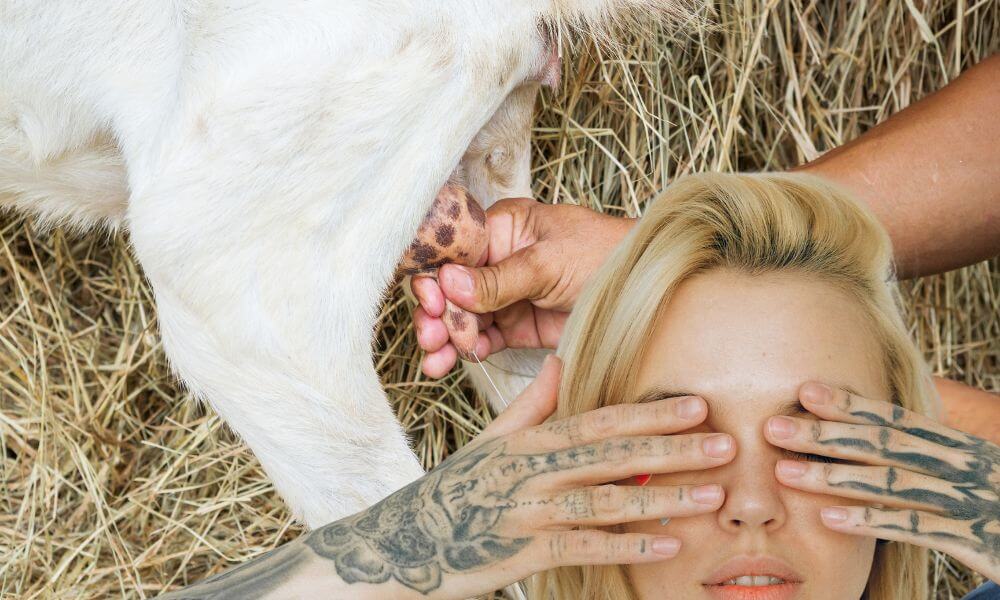 Can Goat Milk Remove Tattoos?
