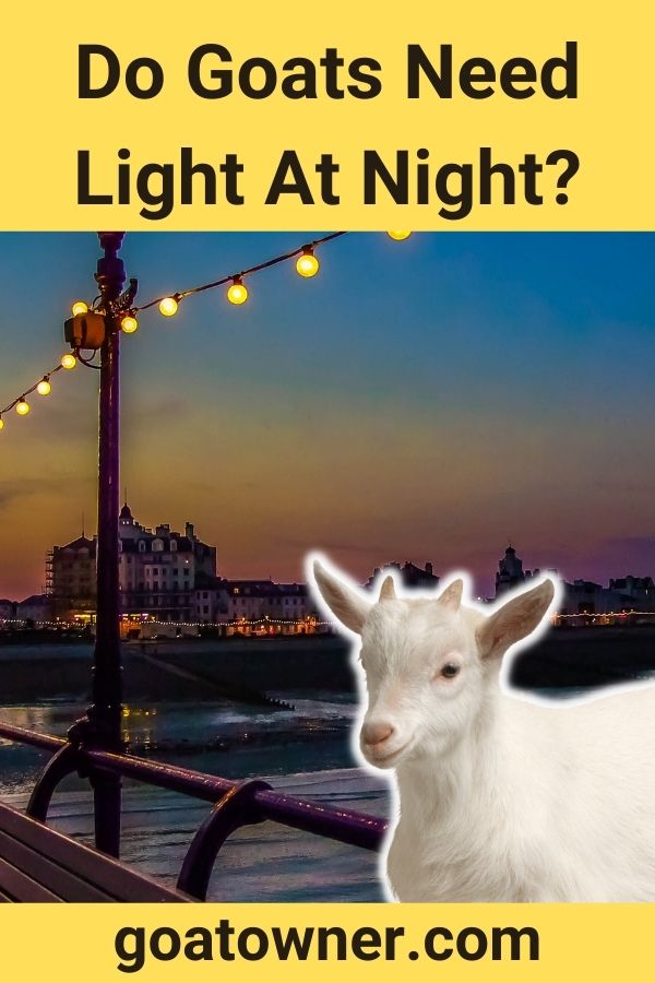 Do Goats Need Light At Night?