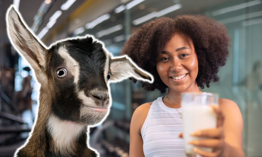 Does Goat Milk Contain Casein?