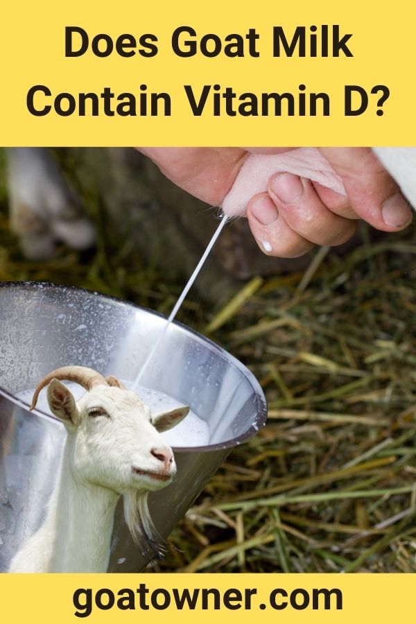 Does Goat Milk Contain Vitamin D?