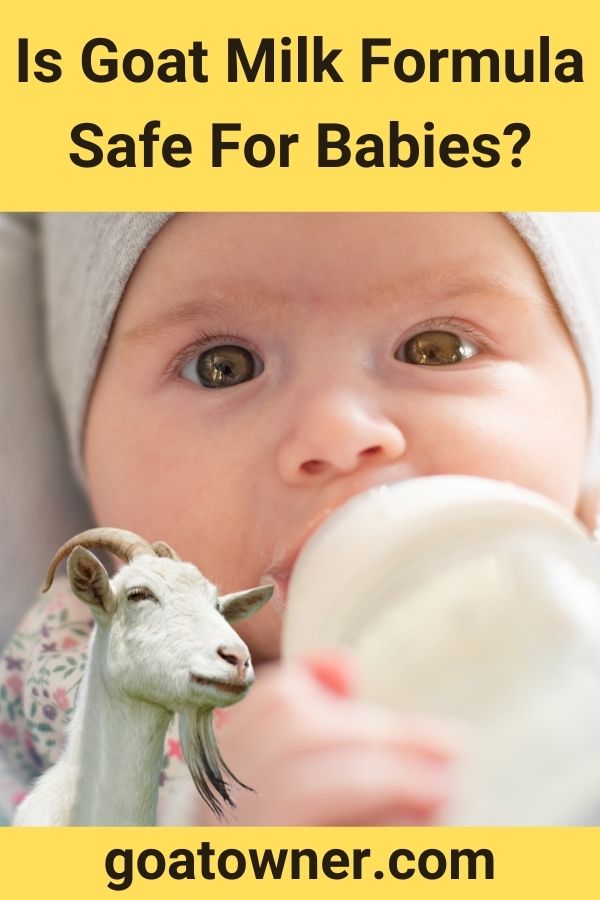 Is Goat Milk Formula Safe For Babies?