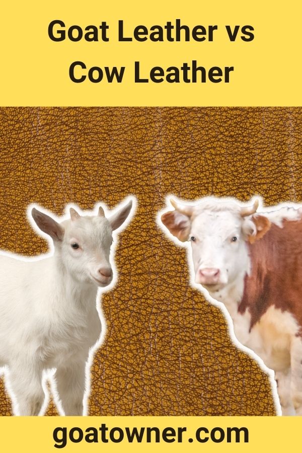 Goat Leather vs Cow Leather
