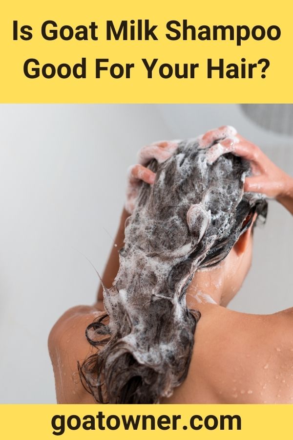 Is Goat Milk Shampoo Good For Your Hair? (Answered!) - Goat Owner
