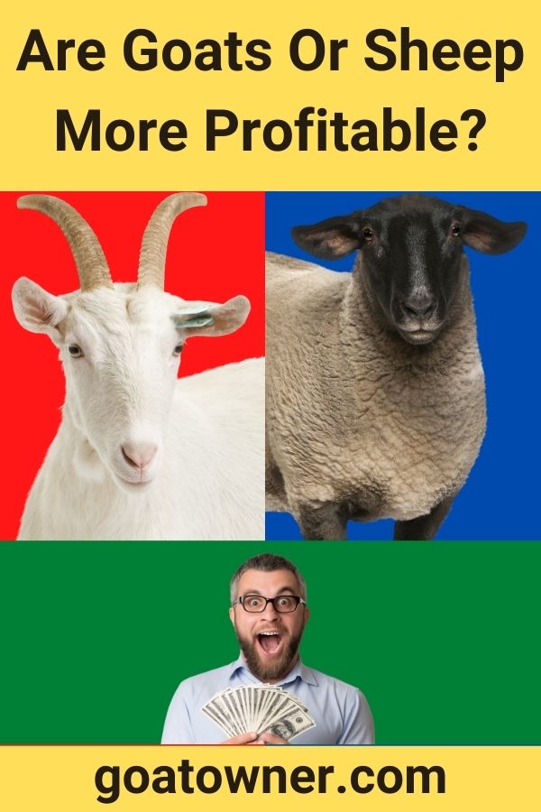 Are Goats Or Sheep More Profitable?