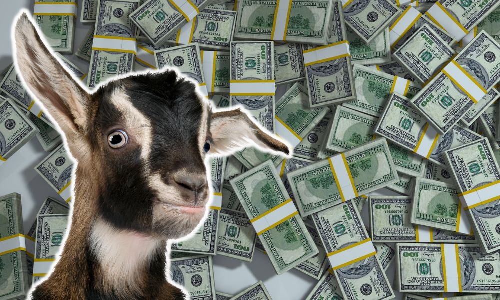 How Much Does It Cost To Rent Goats?