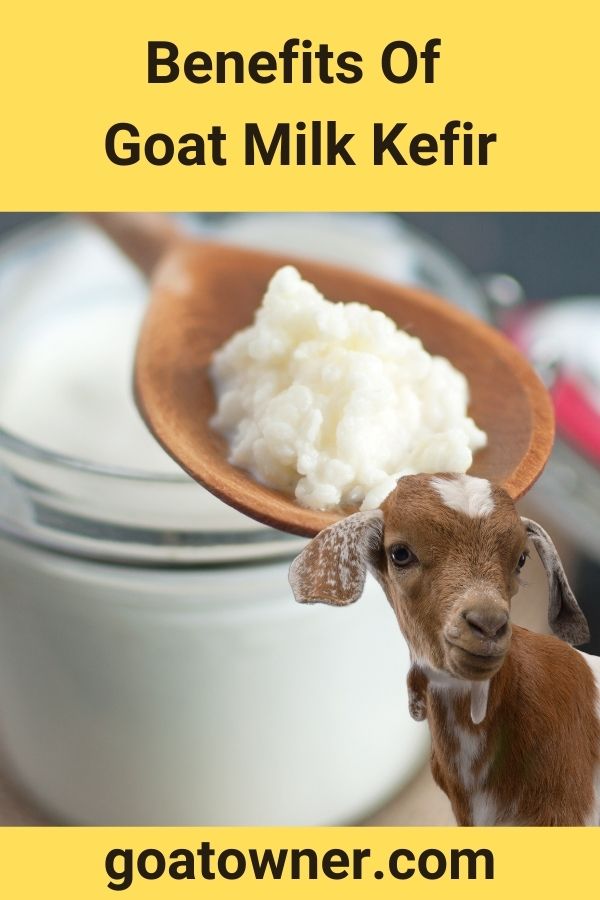 Benefits Of Goat Milk Kefir