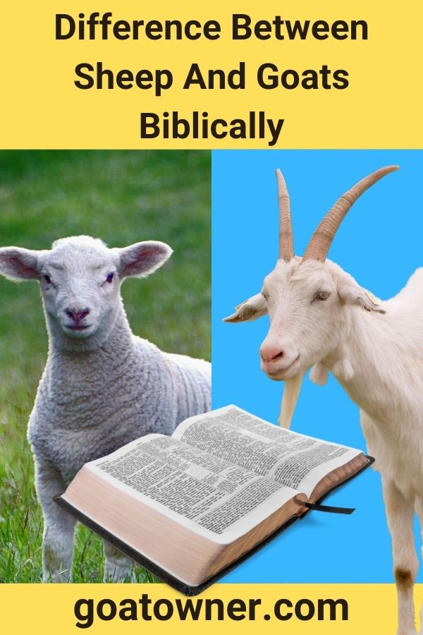 Difference Between Sheep And Goats Biblically