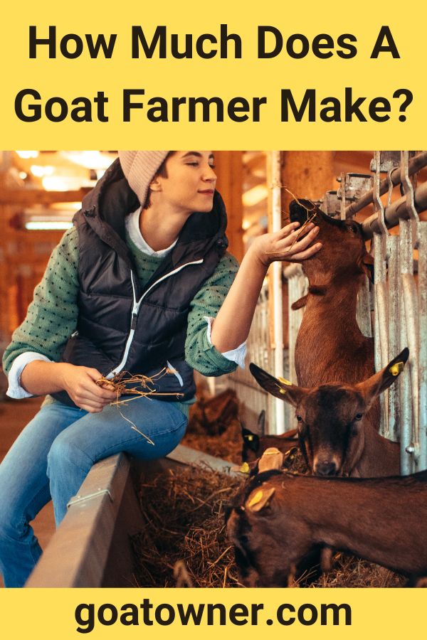 how-much-does-a-goat-farmer-make-revealed-goat-owner