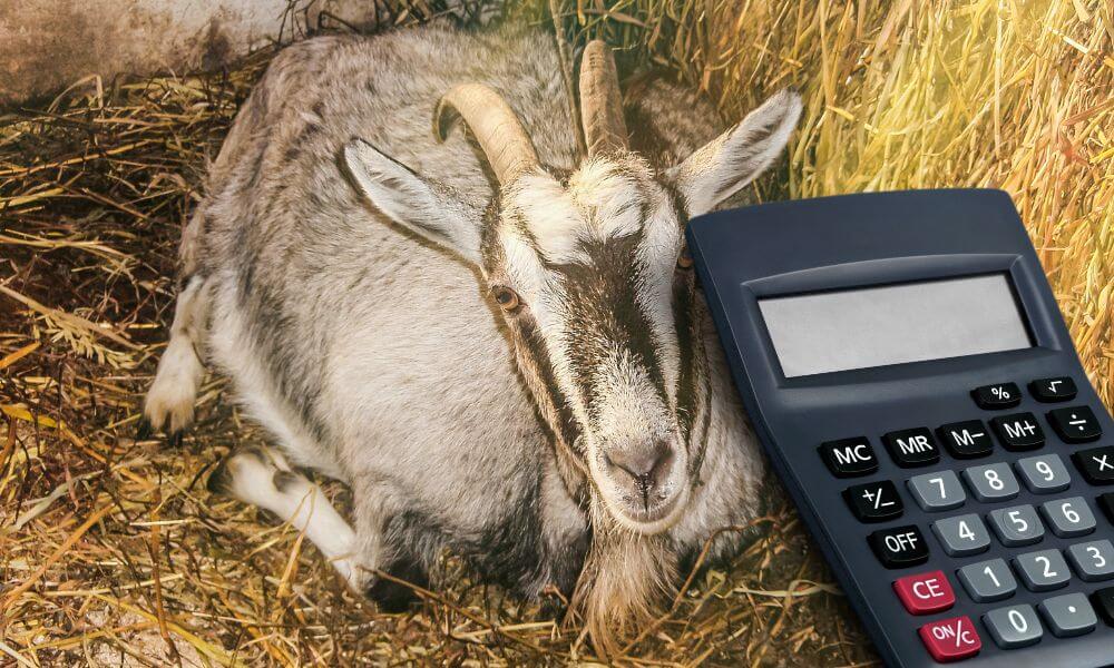 Goat Gestation Calculator