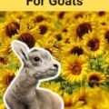 Flower Names For Goats