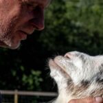 Can Goats Be Service Animals?