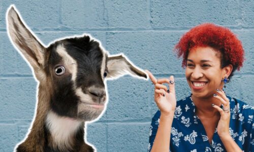 Hilarious Goat Names (25 Examples!)